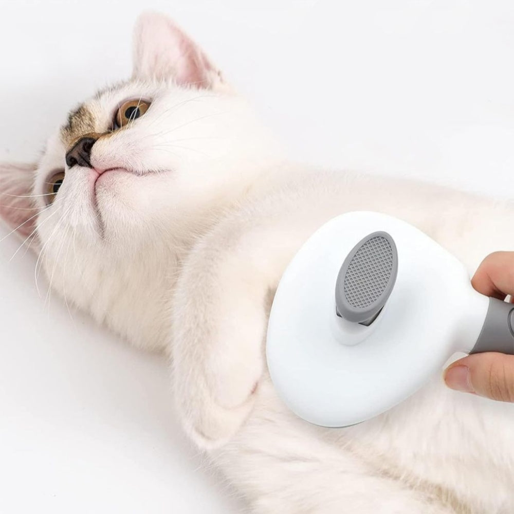 Pet Hair Remover Brush