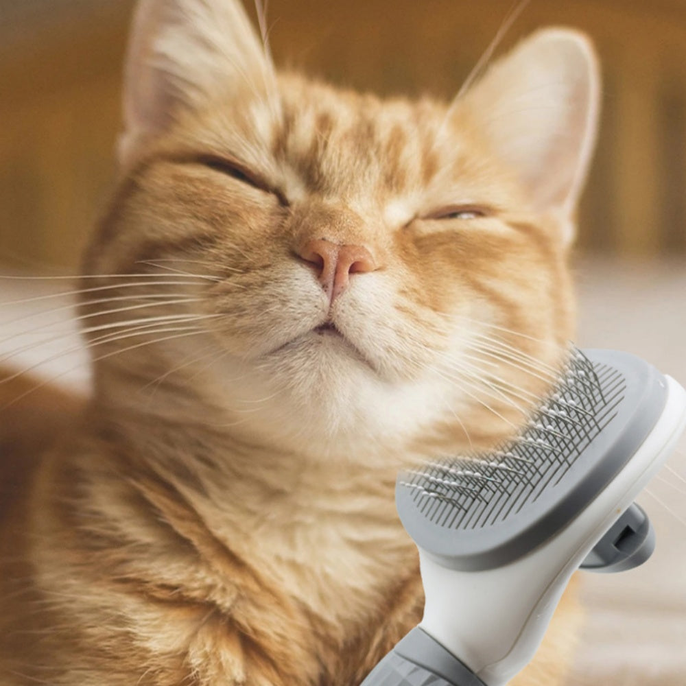 Pet Hair Remover Brush